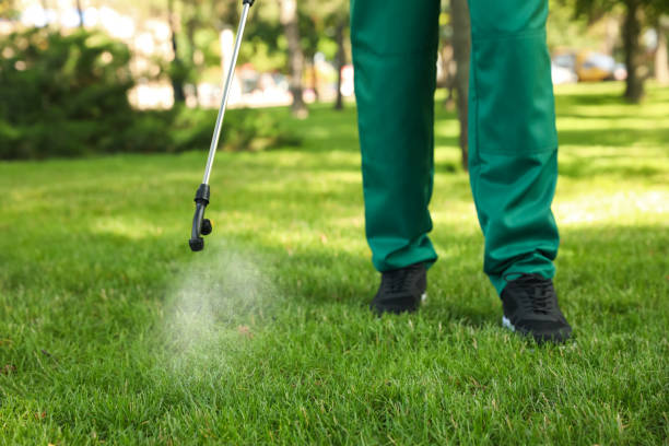 Best Pest Control Near Me  in Ogden, KS