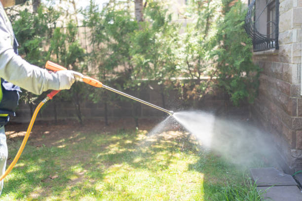 Best Affordable Pest Control Services  in Ogden, KS