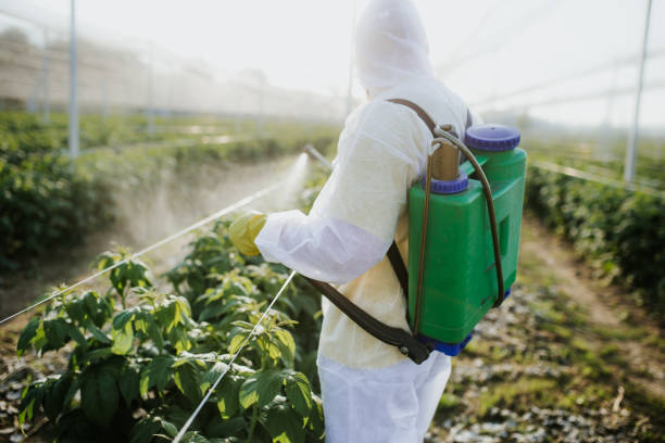  Ogden, KS Pest Control Pros